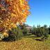 Outdoors view