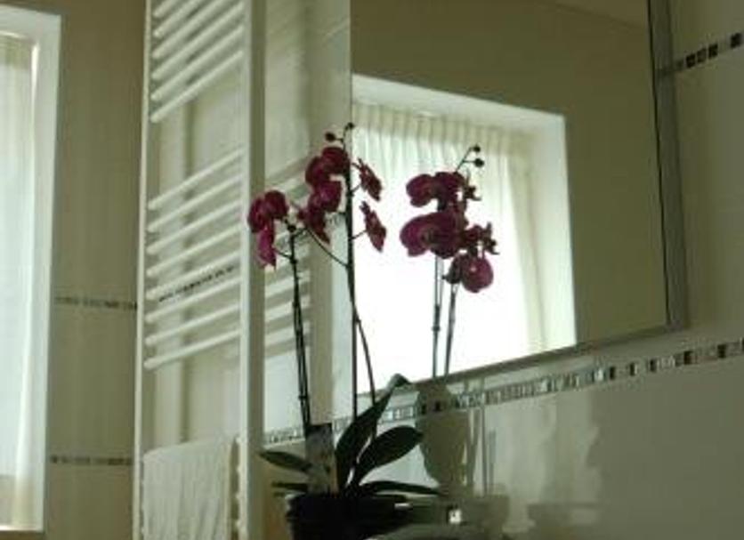 Other Photo