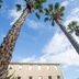 Logis Hôtel de Port d'Alon in Saint-Cyr-sur-Mer, low-rise facade framed by tall palm trees and blue sky