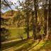 Sierra Lago in Mascota with a lakeside cabin among trees and a grassy path by the water