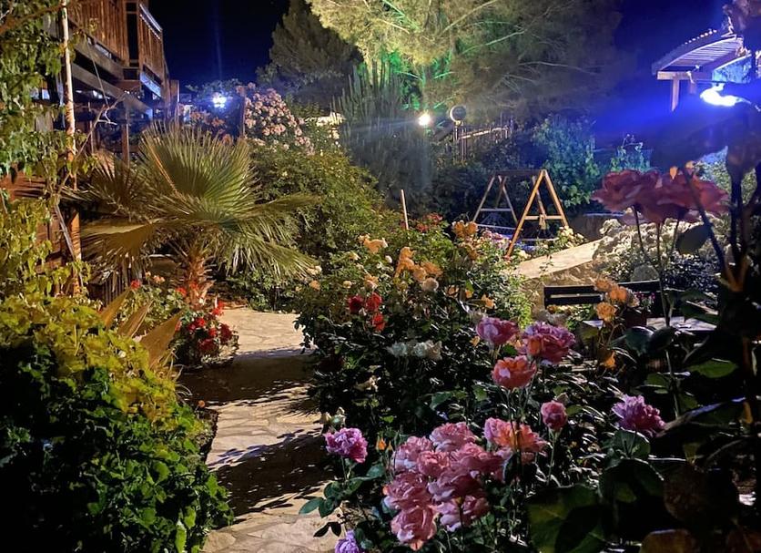 Outdoors view Photo