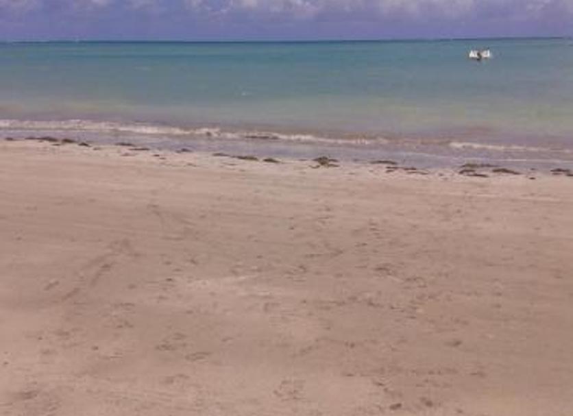Beach Photo