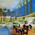 DoubleTree by Hilton Hull atrium with indoor pool, palm trees, and seating under a glass roof