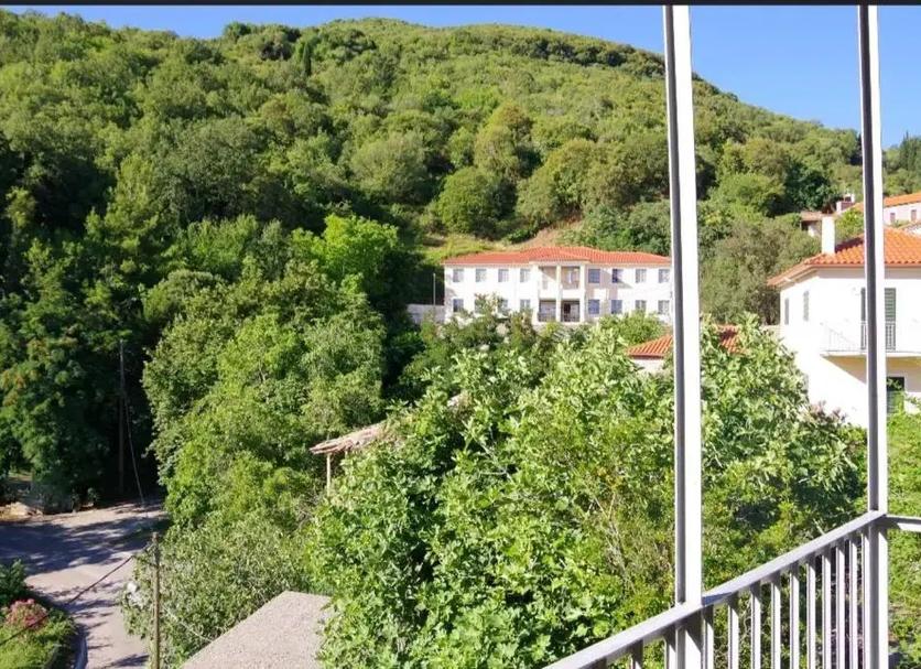 Other Photo
