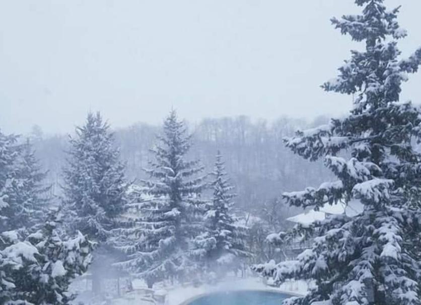 Outdoors view Photo