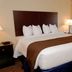 Cobblestone Inn & Suites - Denison guest room with king bed, lamps and desk in Denison
