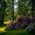 Outdoors view