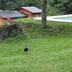 Outdoors view