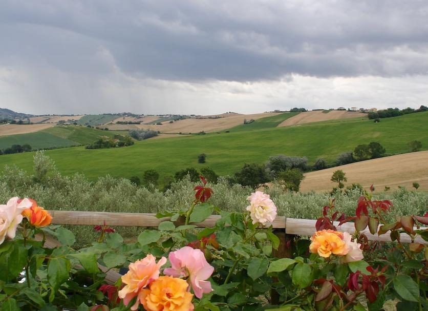 Outdoors view Photo