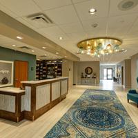 Hampton Inn & Suites by Hilton Tampa Busch Gardens Area