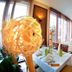 Piknik Wellness Hotel in Siófok dining room with set tables and large windows