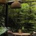 Outdoors view