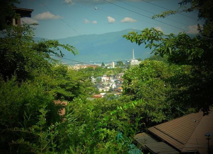 Outdoors view Photo