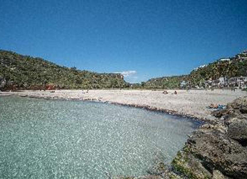 Other Photo