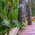 Hotel Fazenda Areia que Canta in Brotas: wooden boardwalk beside a clear forest pool