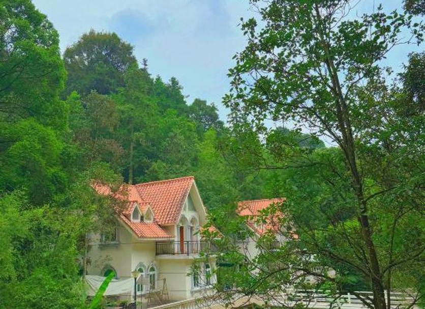 Outdoors view Photo