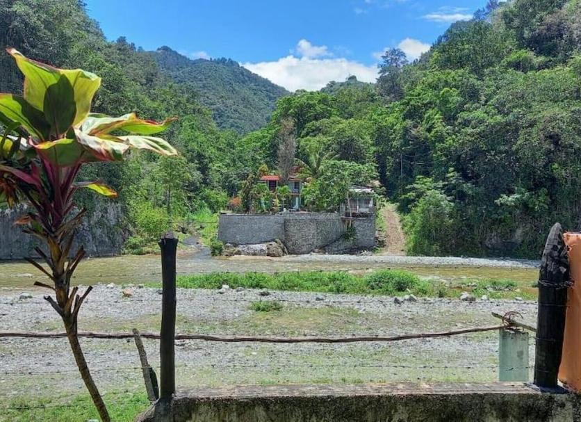 Outdoors view Photo