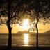 CC Beach Front Hotel, Playa Hermosa: sunset over the ocean framed by trees