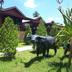 Outdoors view