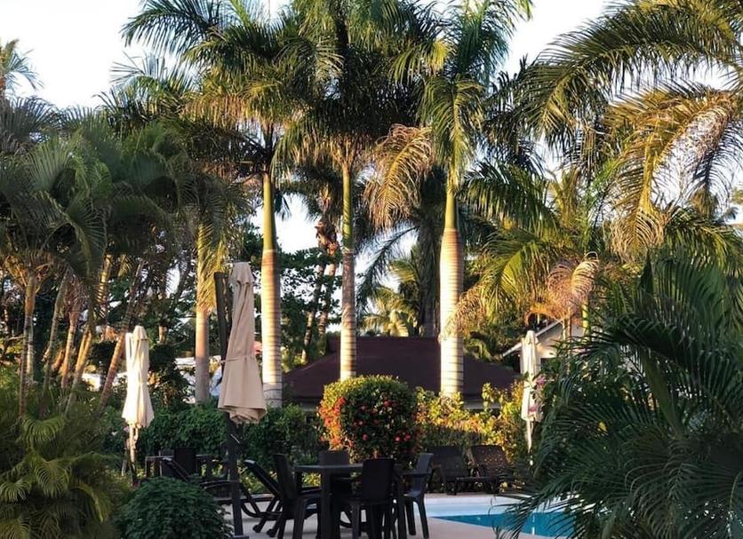 Outdoors view Photo