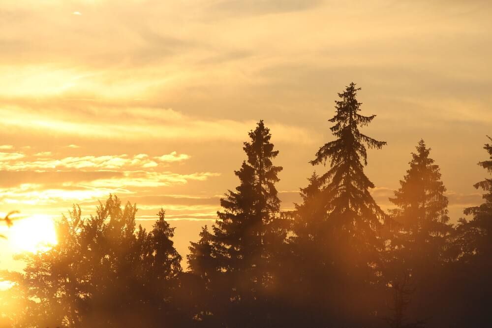 Outdoors view