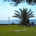 Intercity João Pessoa in João Pessoa with a seaside lawn, palm tree, and ocean view