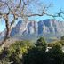 Riversong Guest House, Cape Town, with mountain views beyond lush garden trees