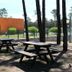 Parque de Campismo Orbitur Vagueira picnic tables among trees in Gafanha da Boa Hora