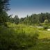 Domaine Jolivent in Lac Brome with a lakeside grassy area, trees, and calm water