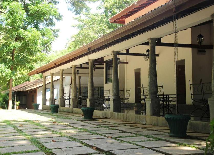 Other Photo
