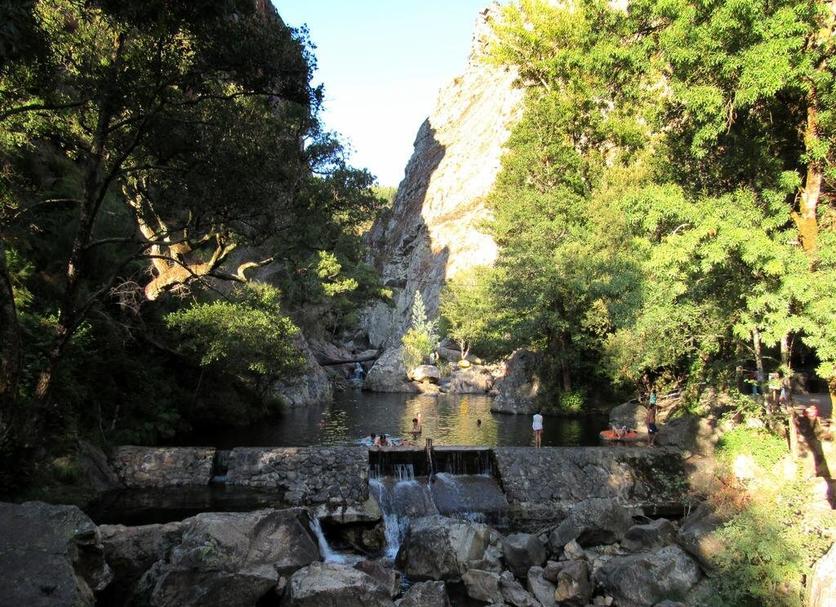 Other Photo