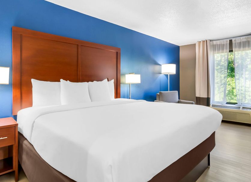 Comfort Inn Greenville - Haywood Mall guest room with king bed, blue accent wall, and window view in Greenville