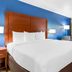 Comfort Inn Greenville - Haywood Mall guest room with king bed, blue accent wall, and window view in Greenville
