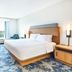 Hampton Inn ATL-Lawrenceville-I-85-Sugarloaf room with king bed, blue carpet and window view
