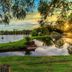 Stonewell Cottages and Vineyards in Tanunda, lakeside vineyard view at sunset with trees and reflections