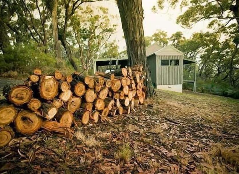 Outdoors view Photo