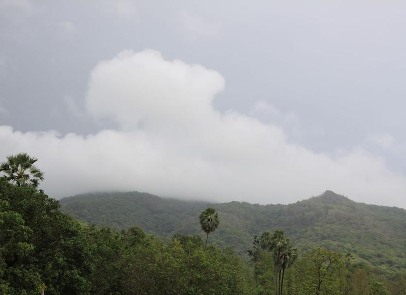 Outdoors view Photo