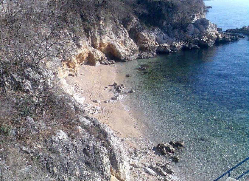 Other Photo