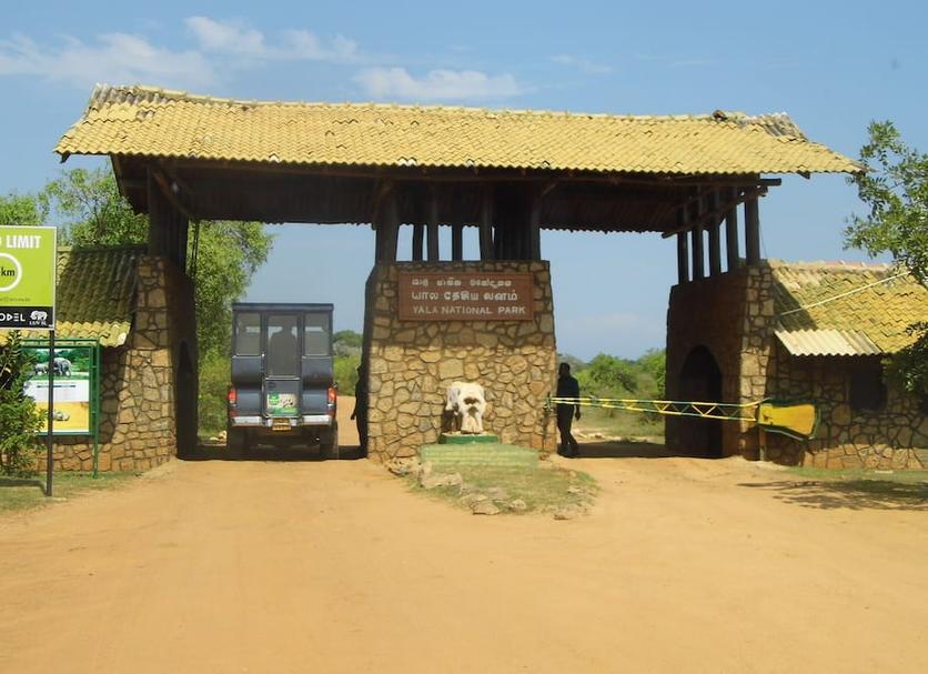Other Photo