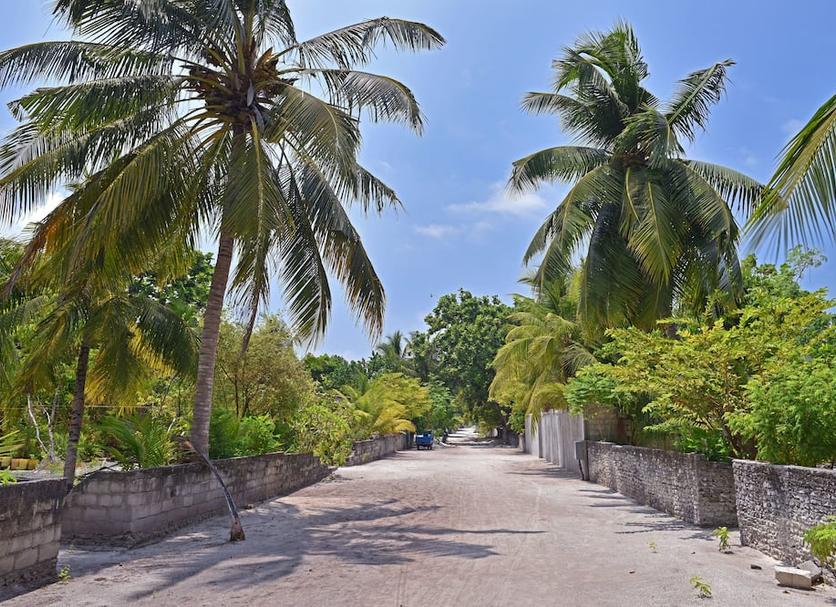 Outdoors view Photo