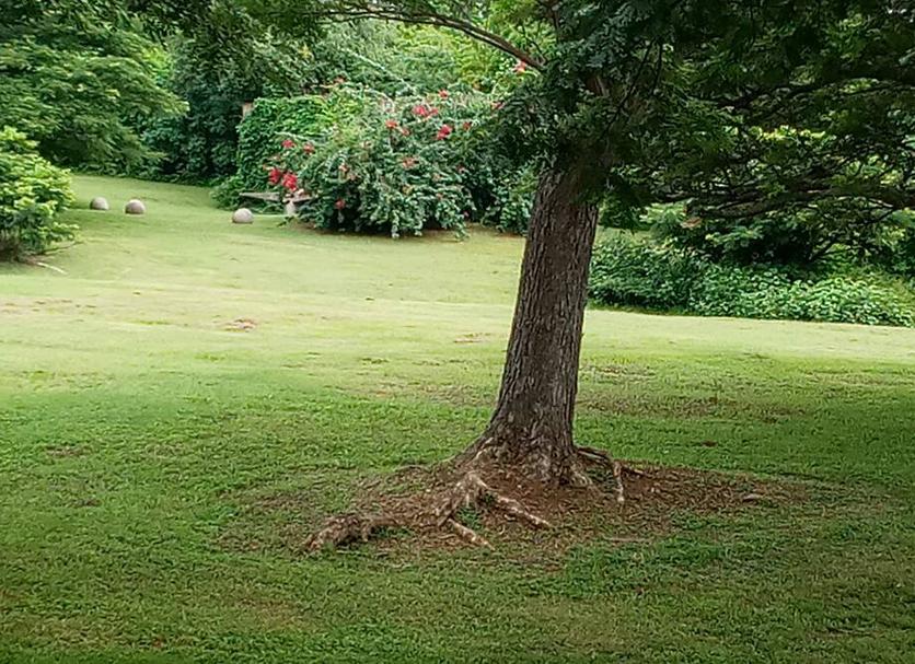 Outdoors view Photo