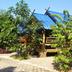 Outdoors view