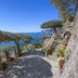 La Maliosa D' Arienzo in Positano: seaside terrace with potted plants, stone steps and sea views