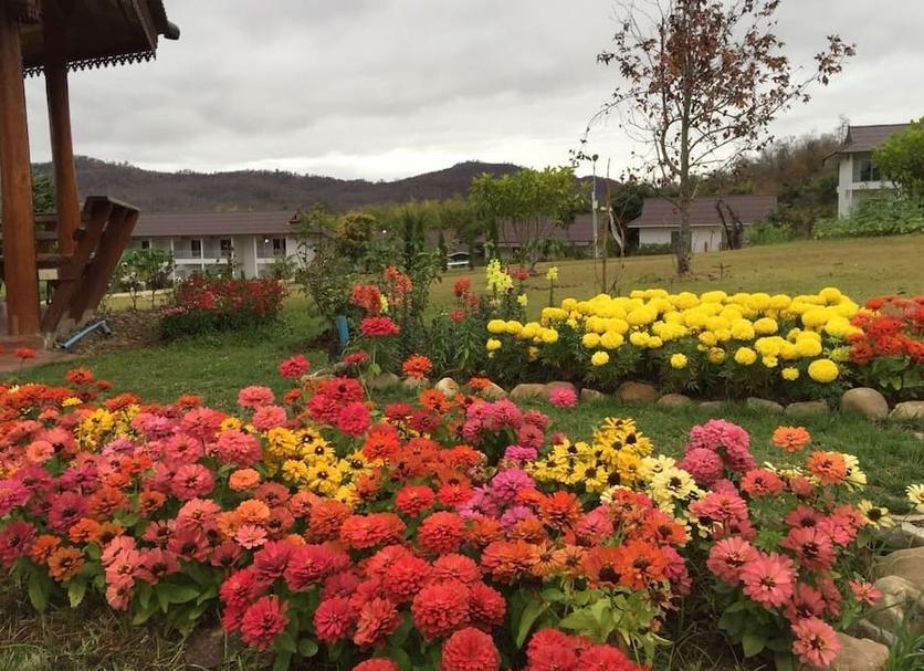 Outdoors view Photo
