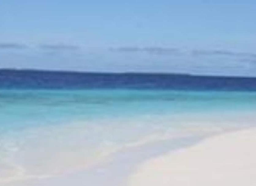Beach Photo