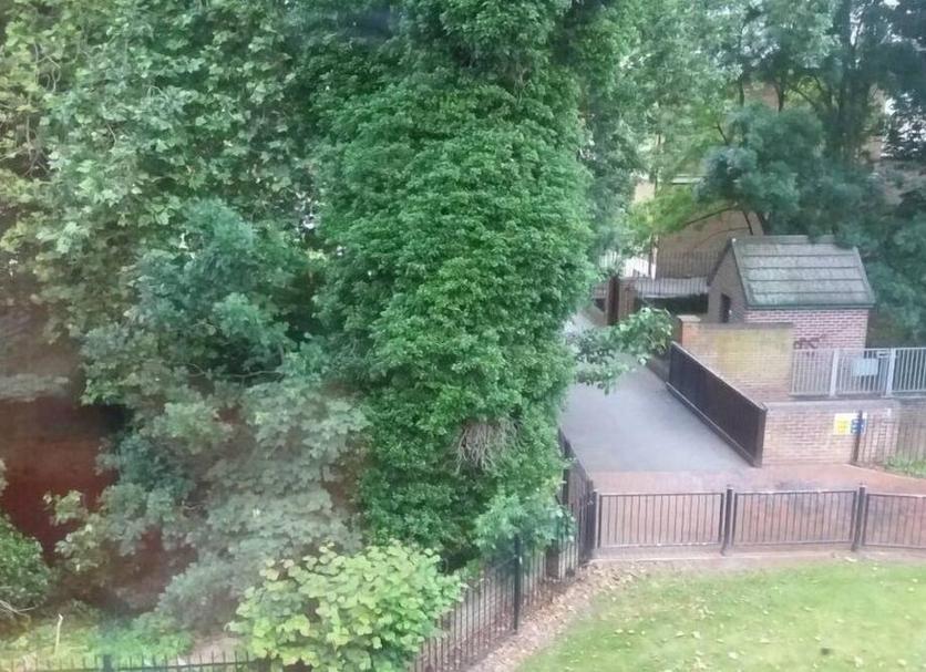 Outdoors view Photo
