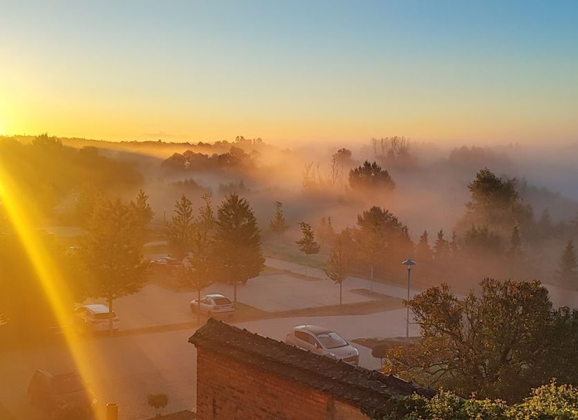 Sunrise over misty trees and parking area at Zur Fichtenbreite in Klieken