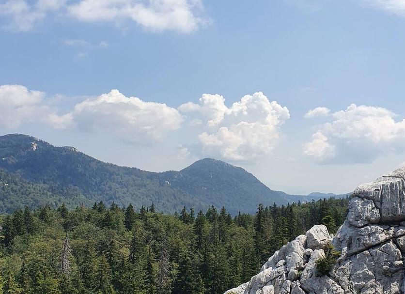 Outdoors view Photo