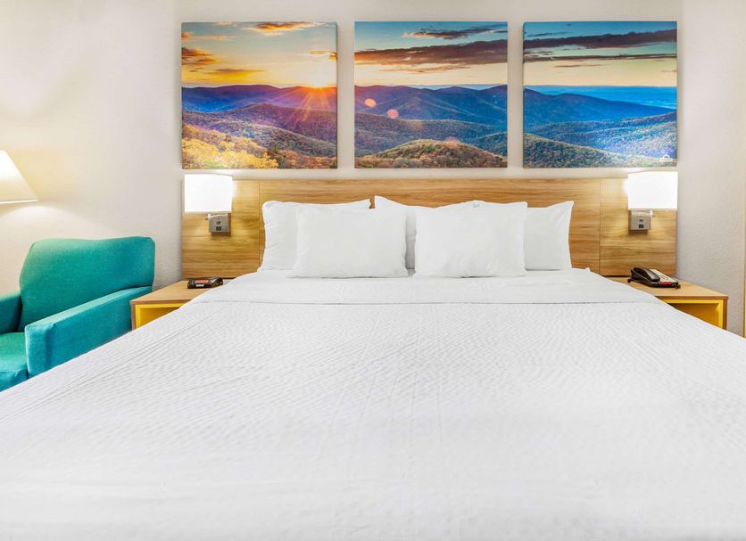 Days Inn Roanoke Near I-81 guest room with king bed, teal chair, and mountain artwork