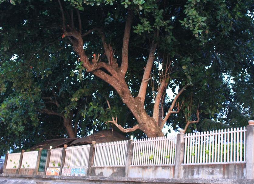Other Photo